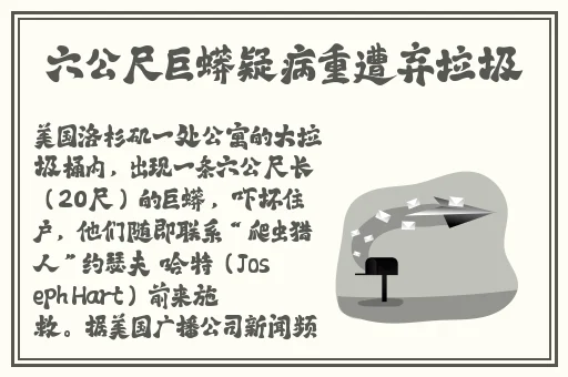 张怕芝的**又多又密